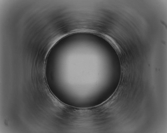 X0000091671244200709131522