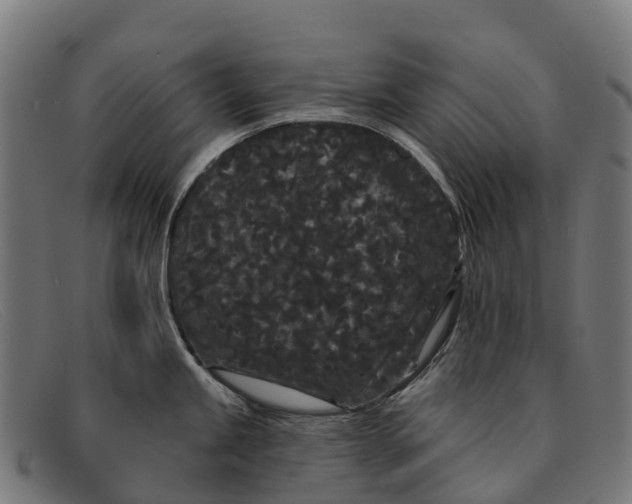 X0000091671245200709131522