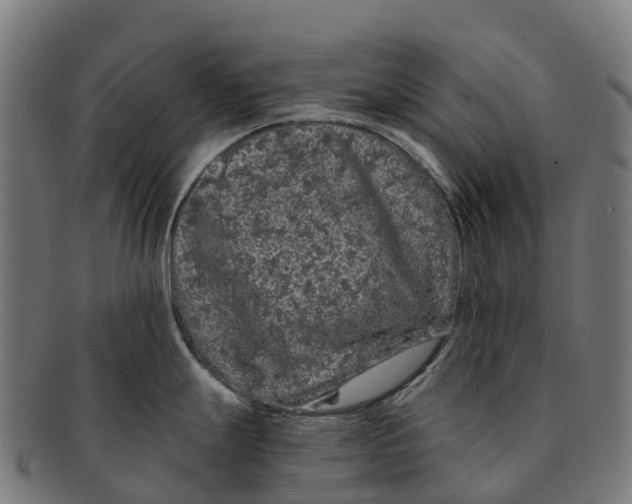 X0000091671247200709131522