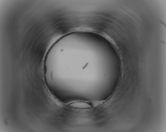 X0000091671248200709131522