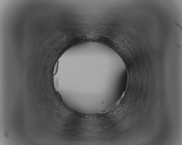 X0000091671249200709131522