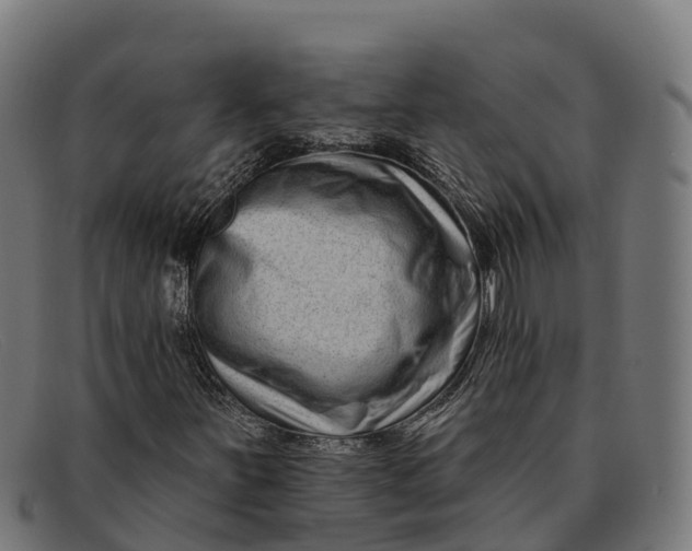 X0000091671251200709131522