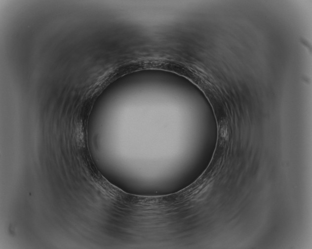 X0000091671252200709131522