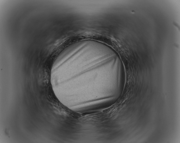 X0000091671253200709131522