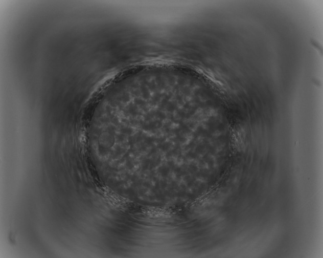 X0000091671254200709131522