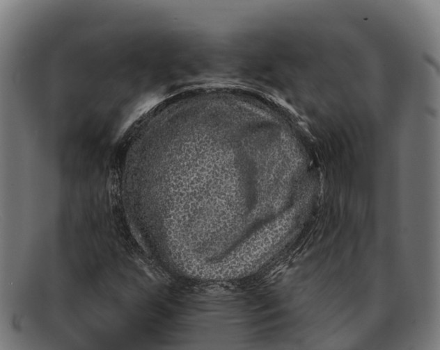 X0000091671255200709131522