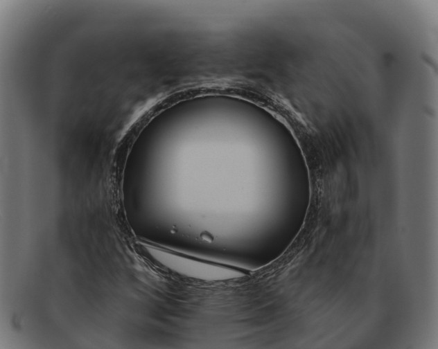 X0000091671256200709131522