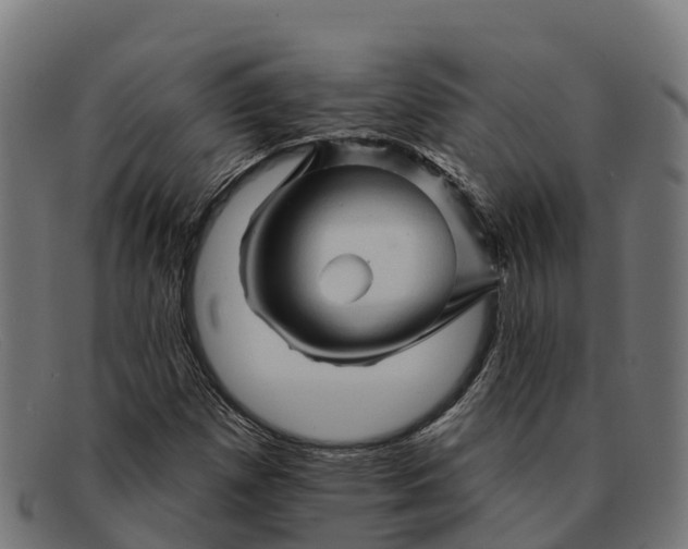 X0000091671257200709131522