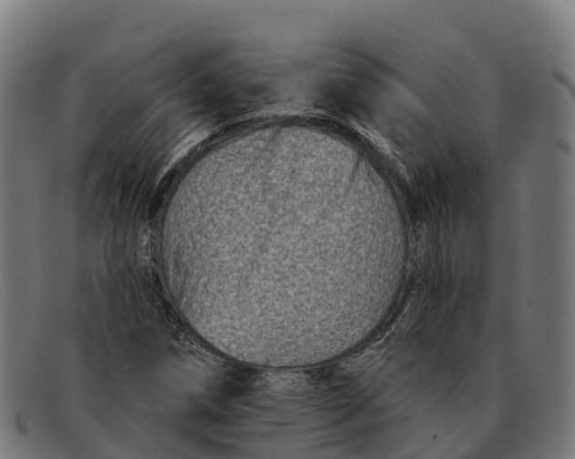 X0000091671258200709131522