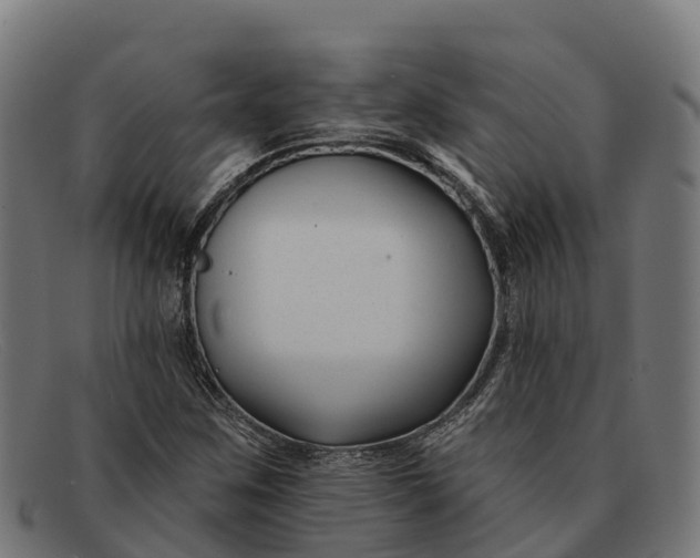 X0000091671259200709131522