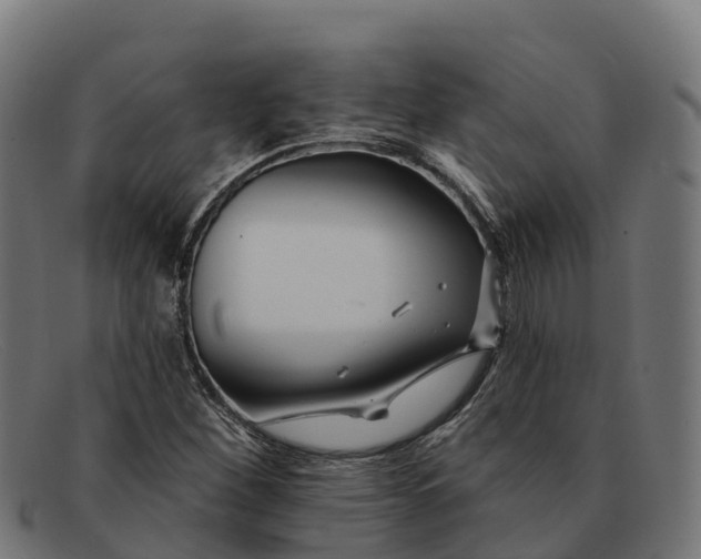 X0000091671260200709131522