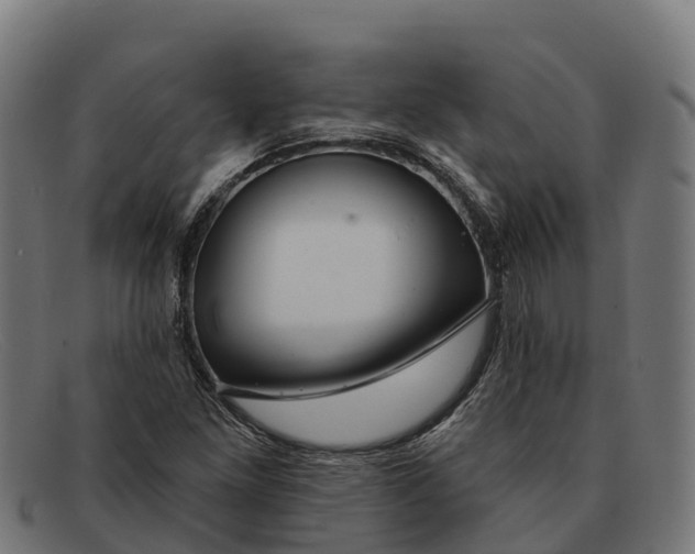 X0000091671261200709131522