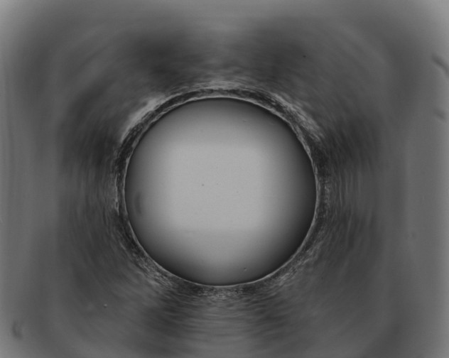 X0000091671262200709131522