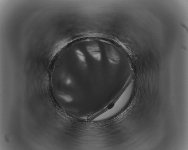 X0000091671263200709131522