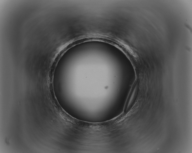 X0000091671264200709131522