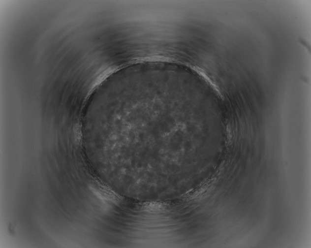 X0000091671266200709131522