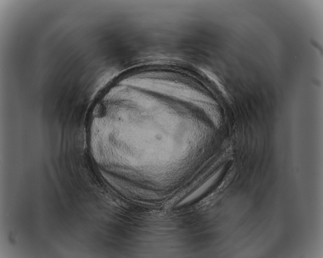 X0000091671267200709131522