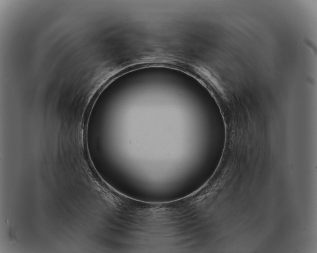 X0000091671268200709131522