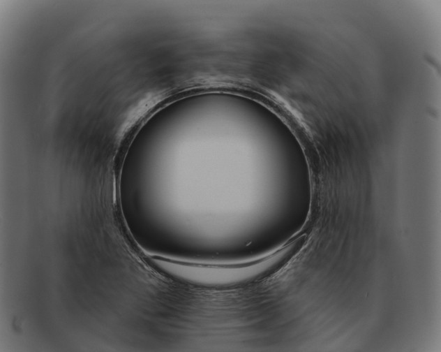 X0000091671269200709131522