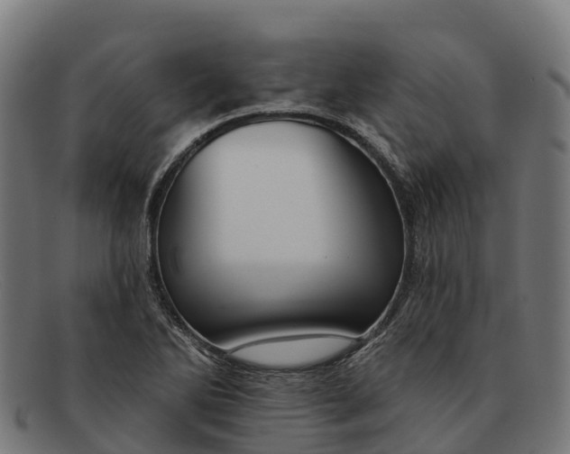 X0000091671270200709131522