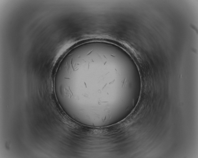 X0000091671271200709131522