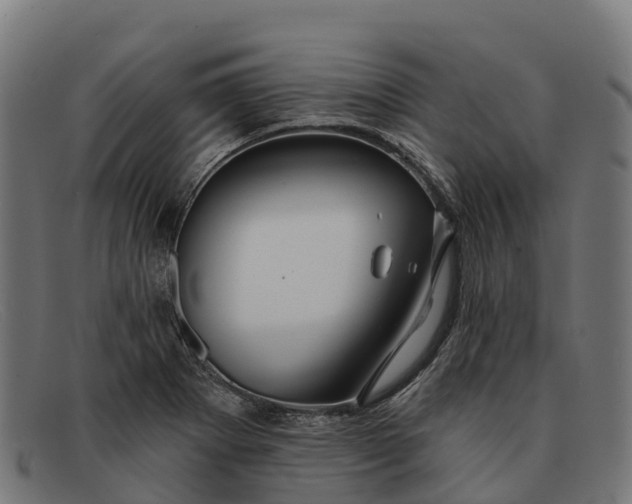 X0000091671273200709131522