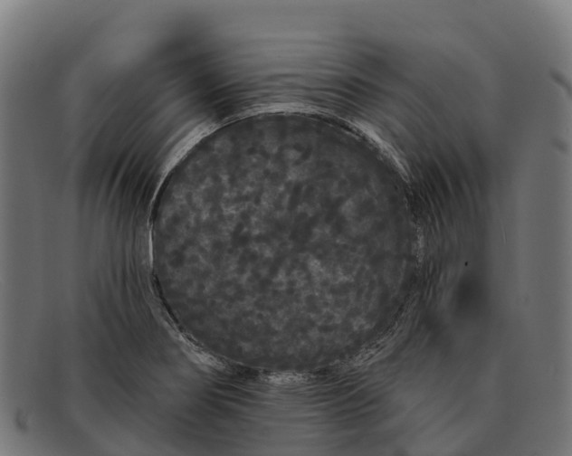 X0000091671274200709131522