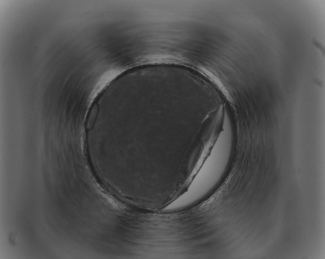 X0000091671277200709131522