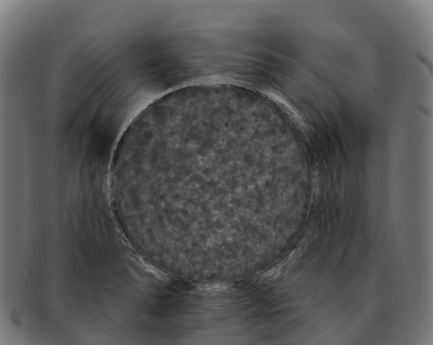 X0000091671278200709131522