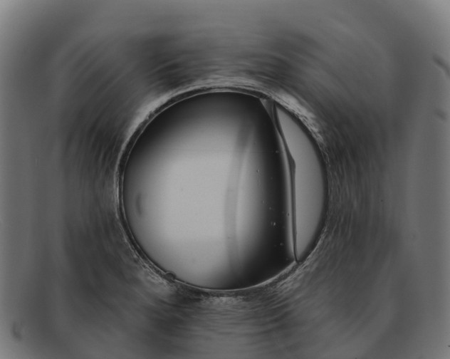 X0000091671280200709131522