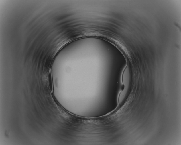 X0000091671281200709131522