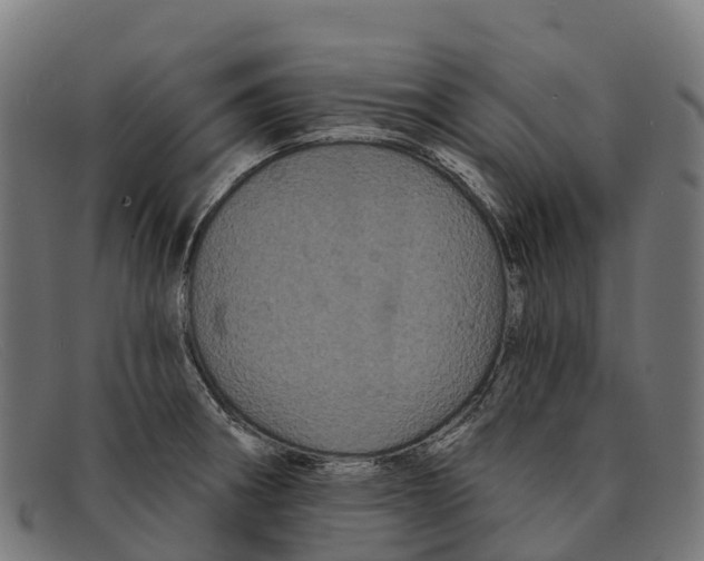 X0000091671282200709131522