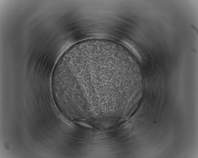 X0000091671283200709131522