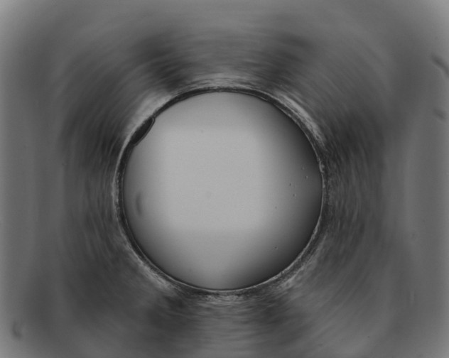 X0000091671285200709131521