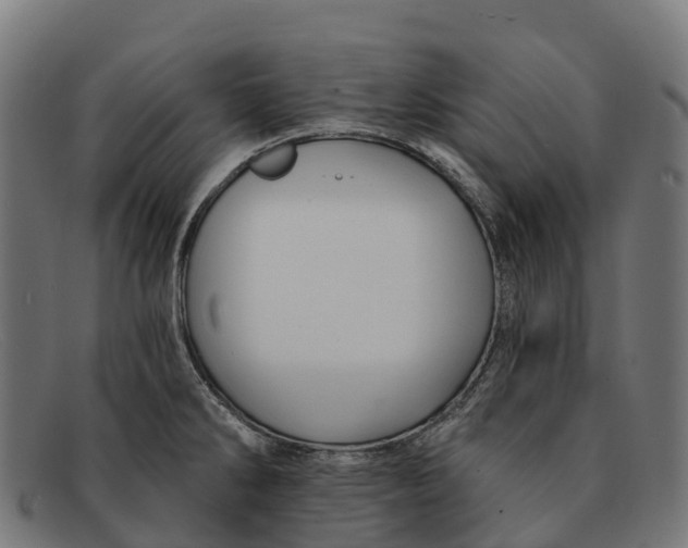 X0000091671286200709131521