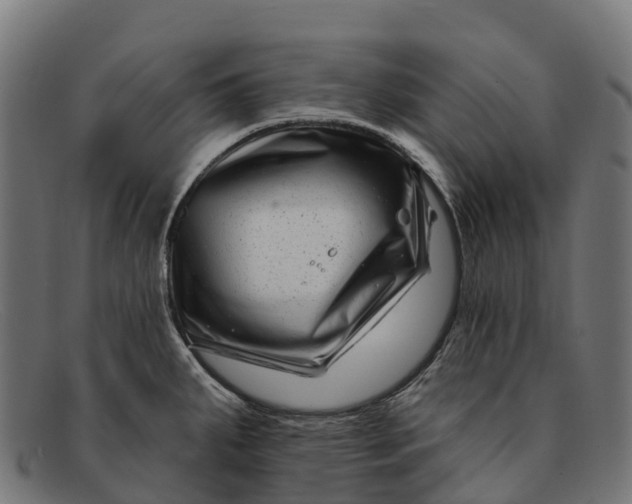 X0000091671287200709131521