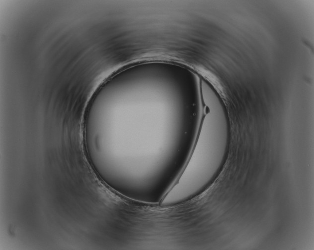 X0000091671288200709131521