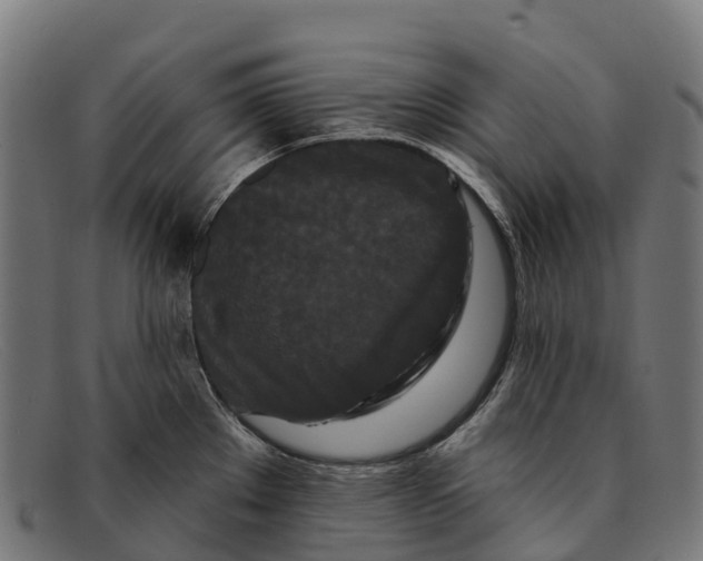 X0000091671289200709131521