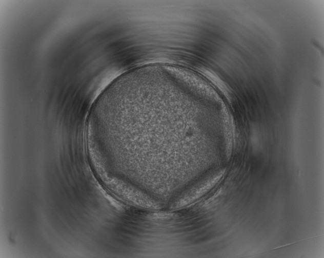 X0000091671290200709131521