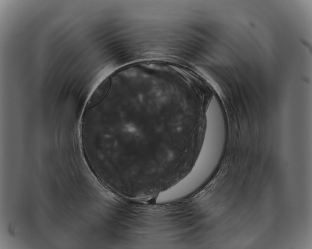 X0000091671291200709131521