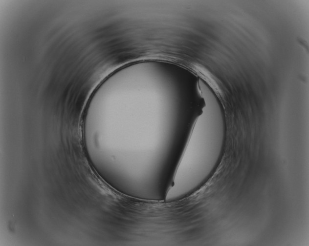 X0000091671292200709131521