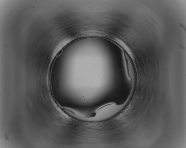 X0000091671293200709131521