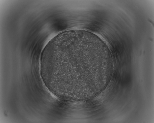 X0000091671294200709131521