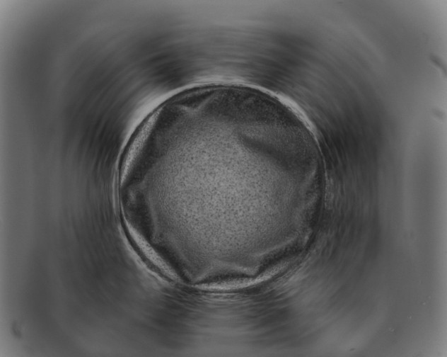 X0000091671295200709131521