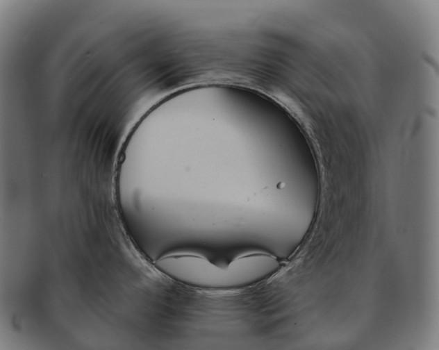 X0000091671296200709131521