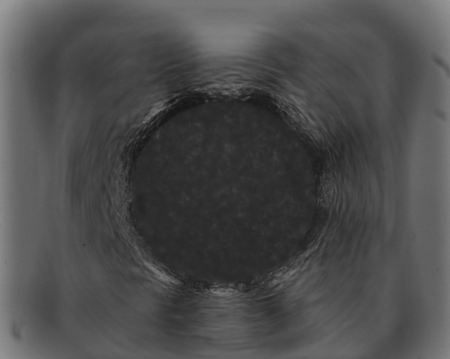 X0000091671297200709131521