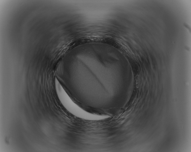 X0000091671298200709131521