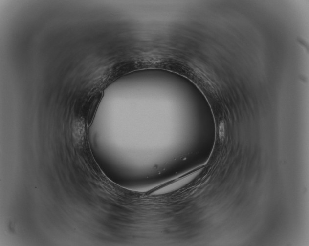 X0000091671299200709131521