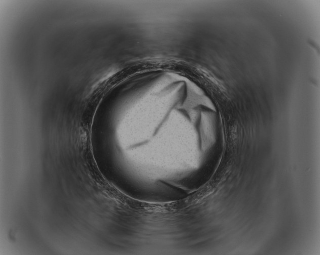 X0000091671302200709131521