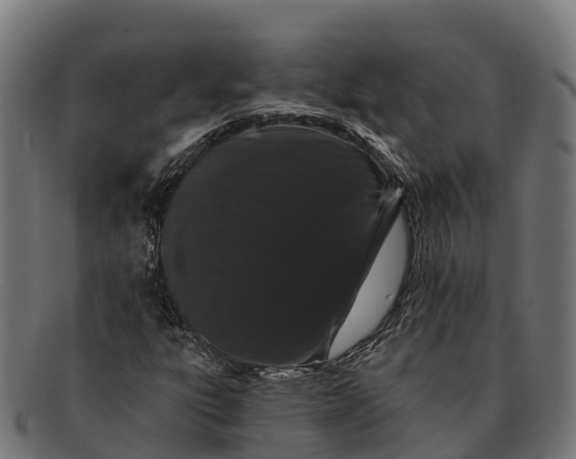 X0000091671303200709131521